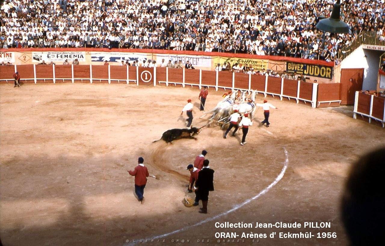 ORAN ARENES91 CORRIDA-EVACUATION.jpg